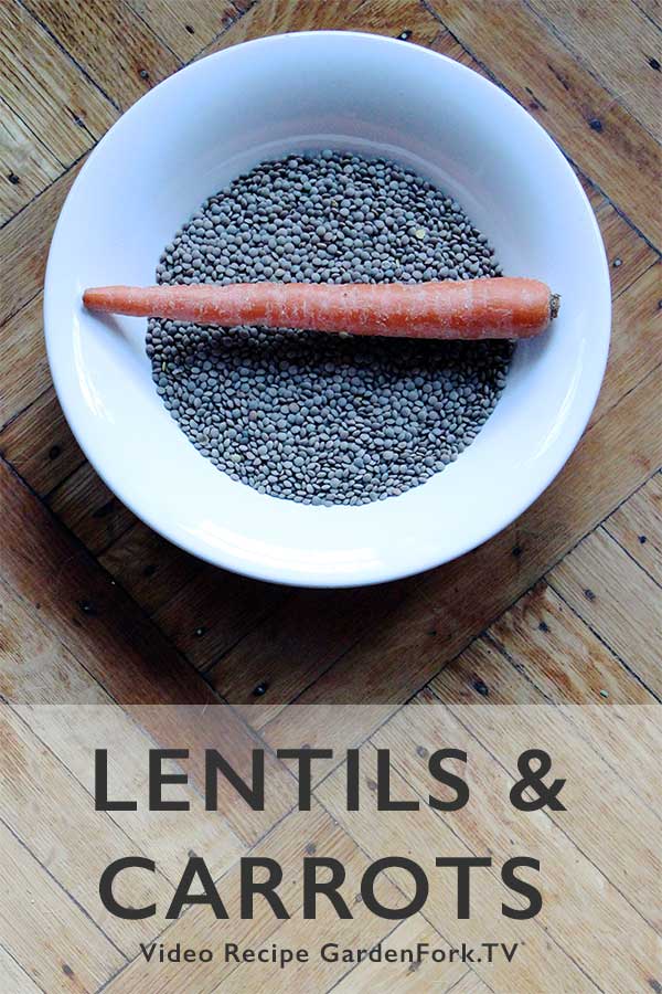 Lentils Recipe With Carrots