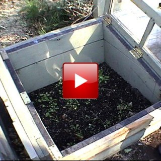 cold frame gardening