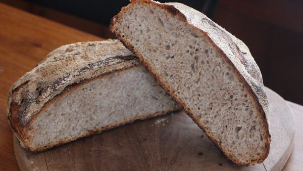 oatmeal no knead bread recipe