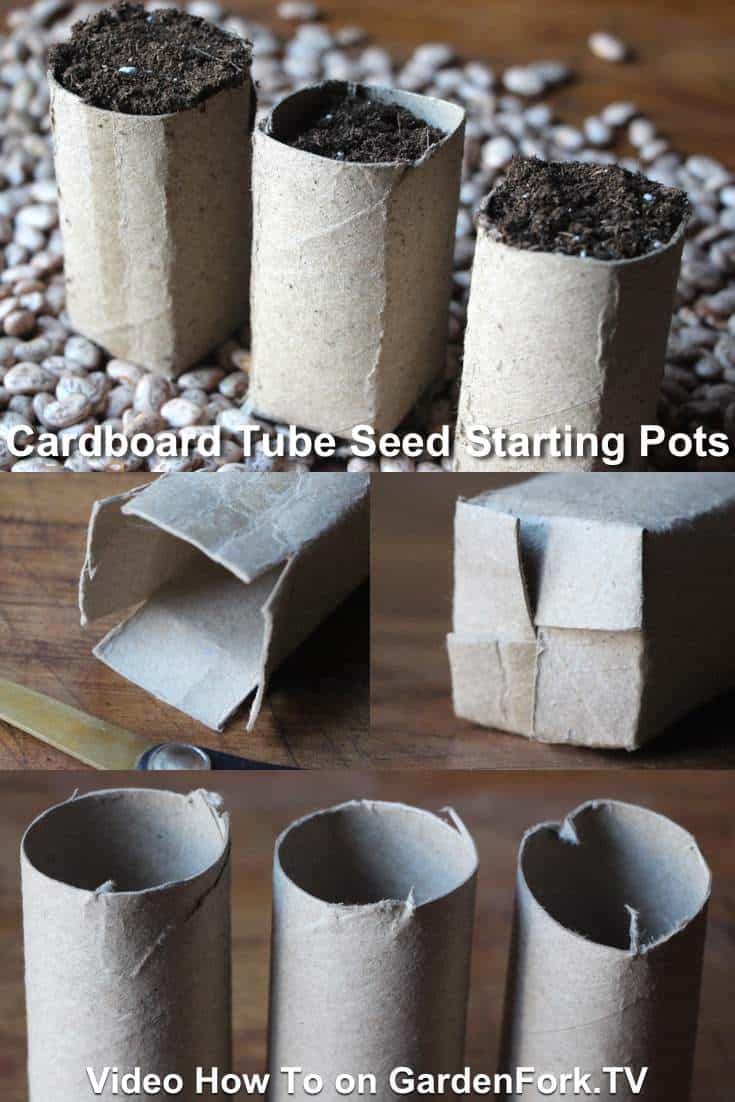 cardboard seed starting pots