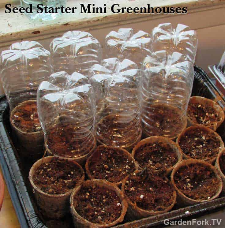 mini-greenhouse-seed-starting-pots