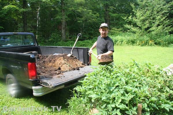 hilling-potatoes 1