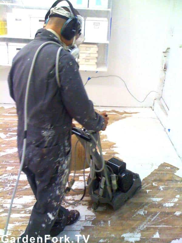 Floor Sanding