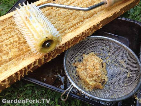 Honey Harvesting