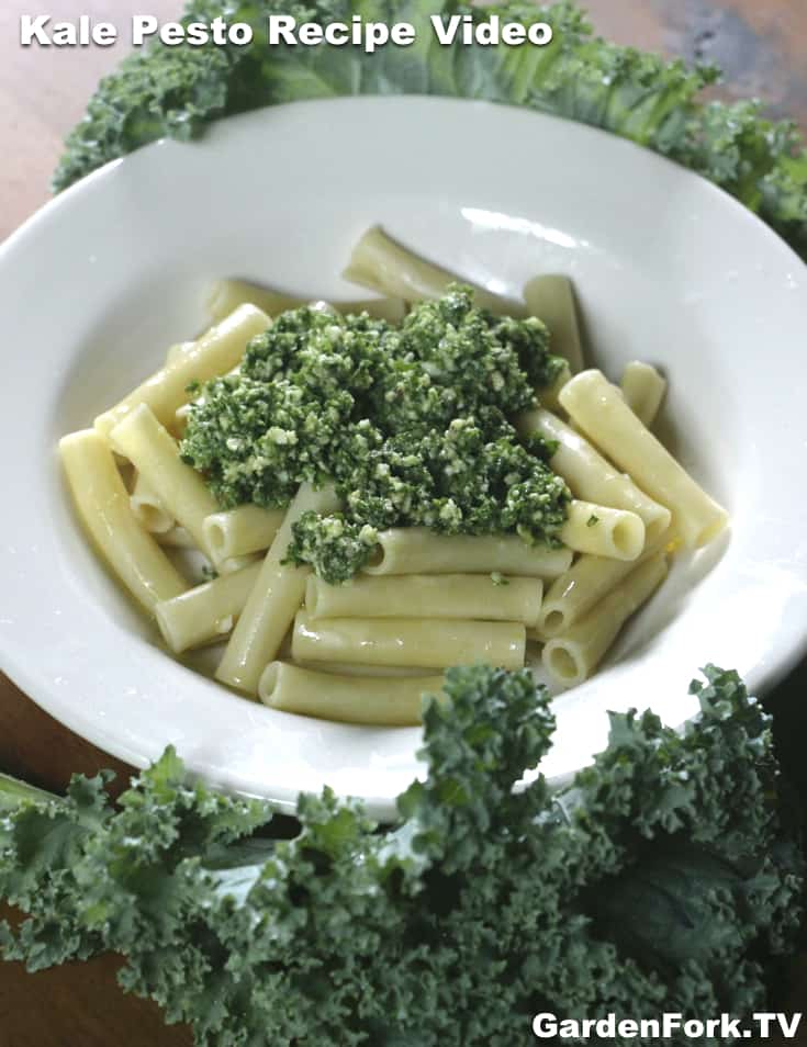 Easy Kale Recipe