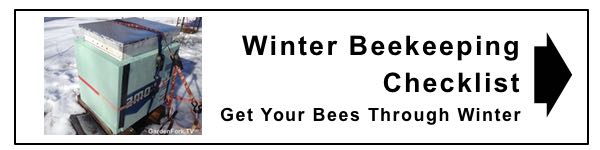 winter-beekeeping-watch-more