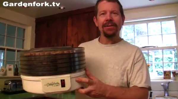 dehydrating apples