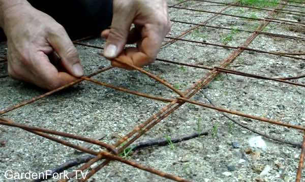 Best Homemade Tomato Cages