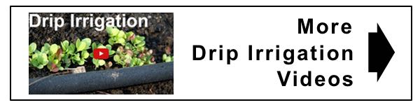 watch more drip irrigationjpg