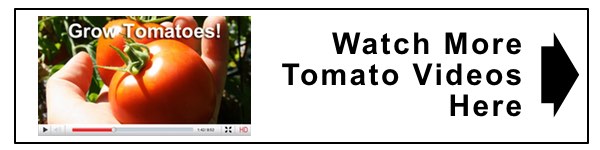 watch tomato videos 2