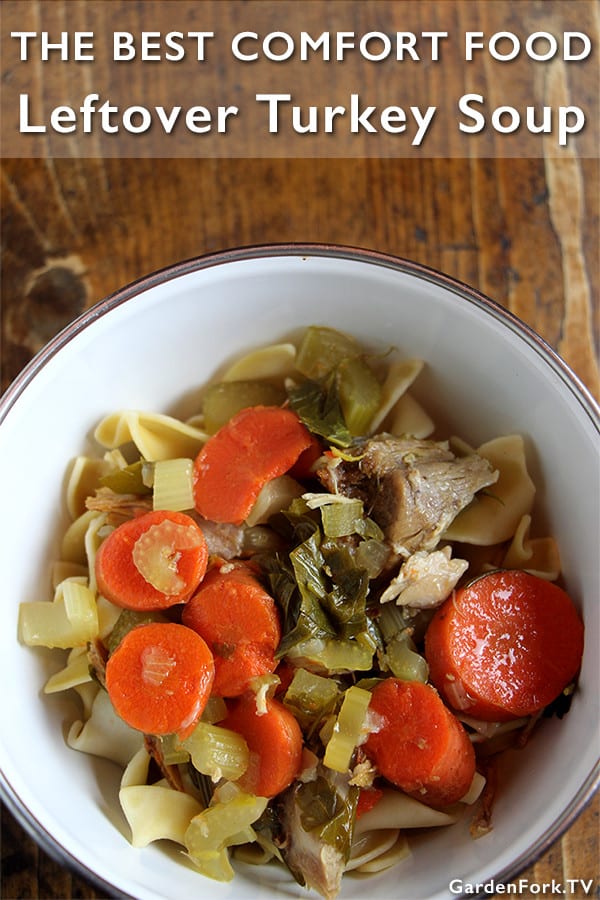 Easy Turkey Soup Recipe