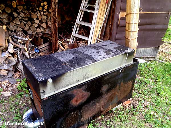 making maple syrup