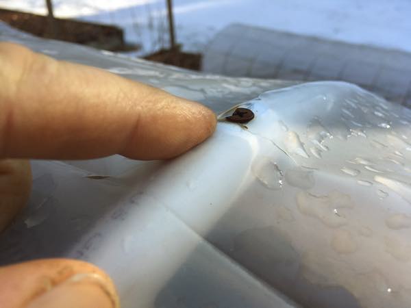 Mini Greenhouse Repair