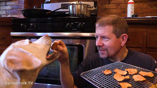 Sweet potato dog treats recipe