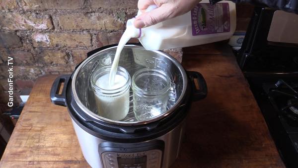 Instant Pot Yogurt Recipe