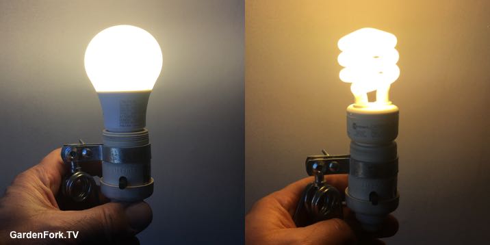 LED vs CFL lights