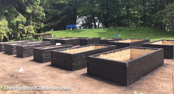 Raised Vegetable Beds