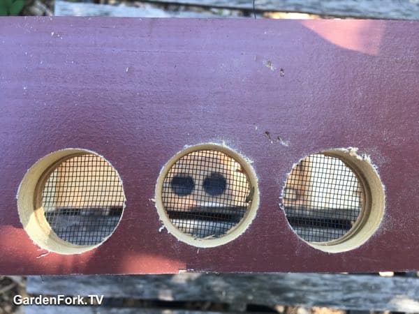 Hive Top Vent Board