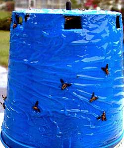 blue plastic cup with flies on it
