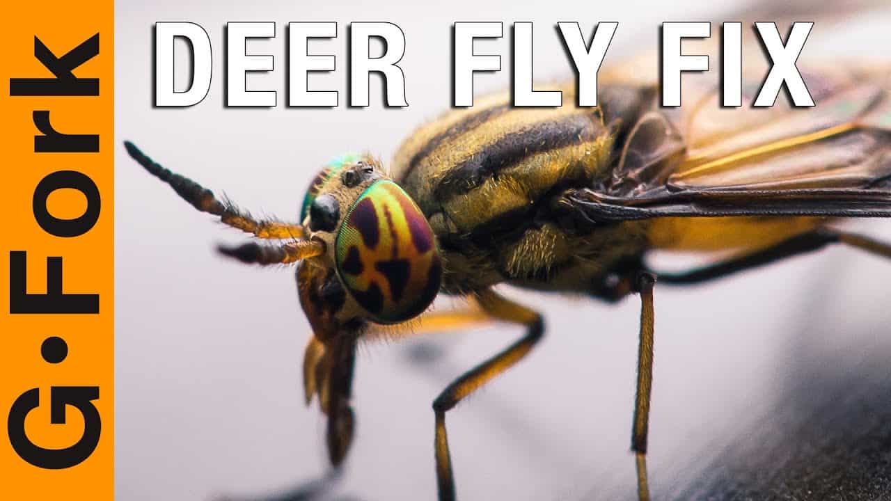 How To Get Rid Of Deer Flies - GF Video