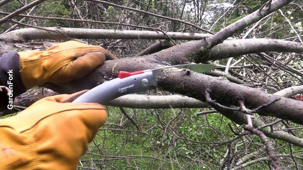 tree pruning with handsaw