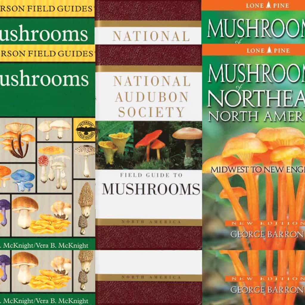 Mushroom books