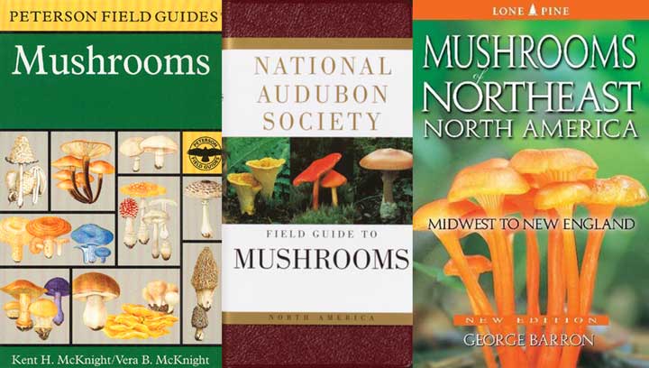 Mushroom Books